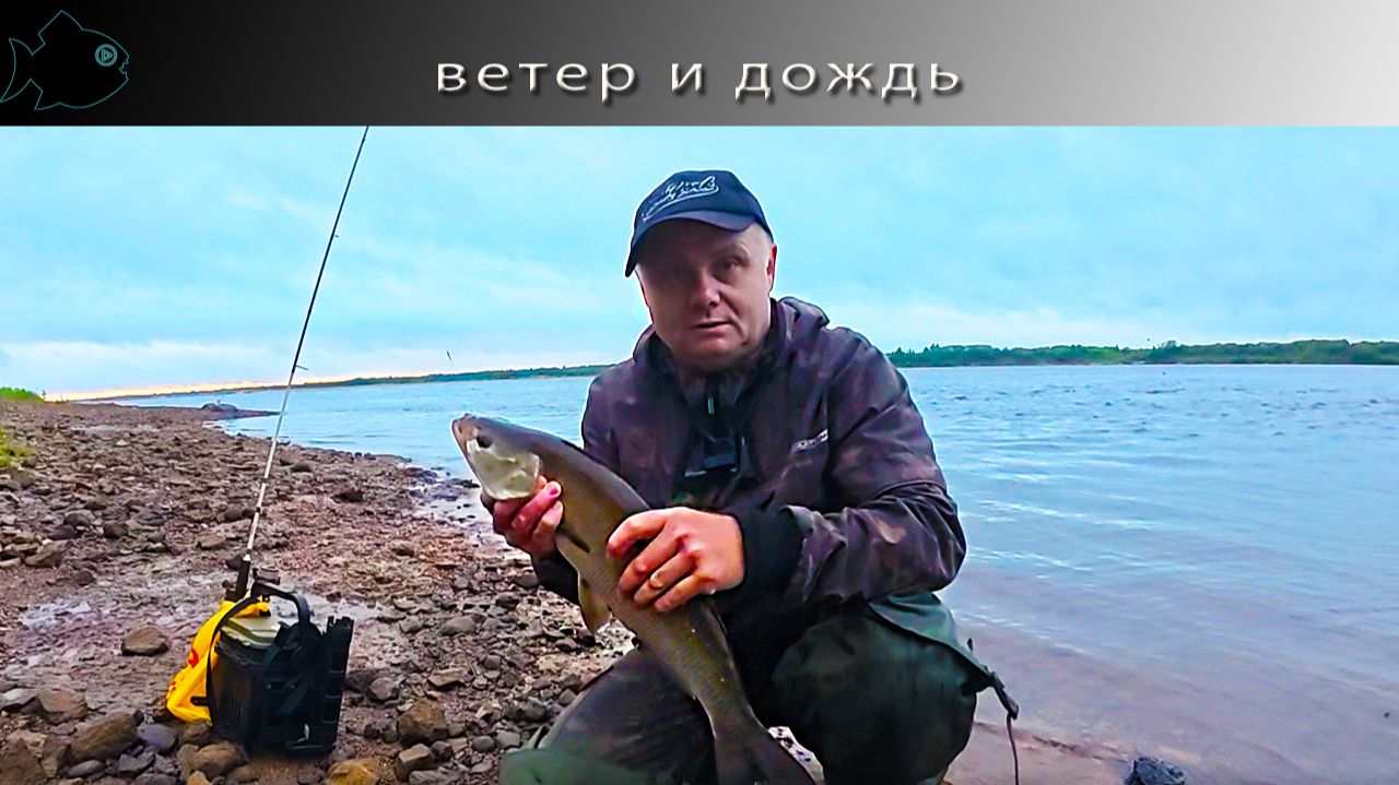 Красноборские рыбалки. День 3. В ветер и дождь