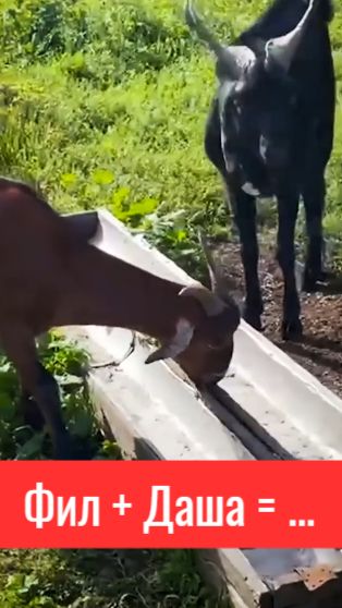 Только ради нее он выходит из дом