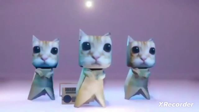 психоделические три кота танцуют под бум магнитофон 📻😺