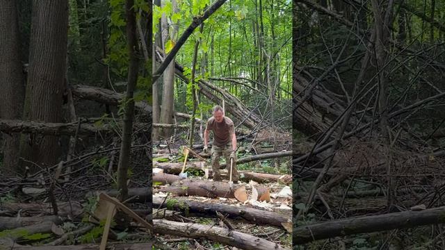 16.08.26 ПОРУБАС (13)