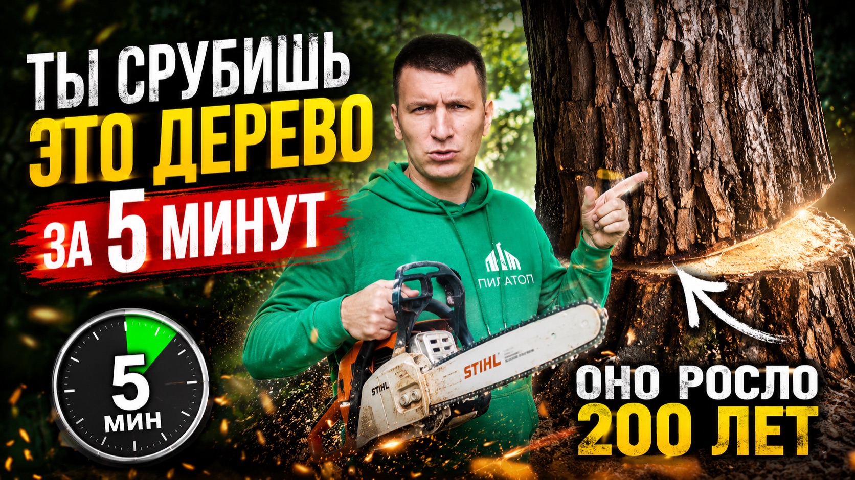 Сколько лет нужно дереву, чтобы стать доской?