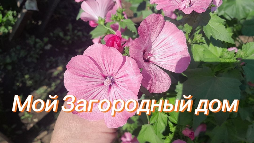 РЕАЛЬНАЯ ЖИЗНЬ В ЗАГОРОДНОМ🏡_НЕМНОГО ПРИБОЛЕЛА_РАСПАКОВКА🎁ОБЗОР ПОКУПОК_МОЙ СТИЛЬ #рек #влог #стил