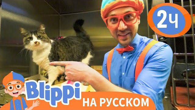 Блиппи в приюте для животных. Изучай этот мир вместе с Блиппи. Обучающие видео для детей