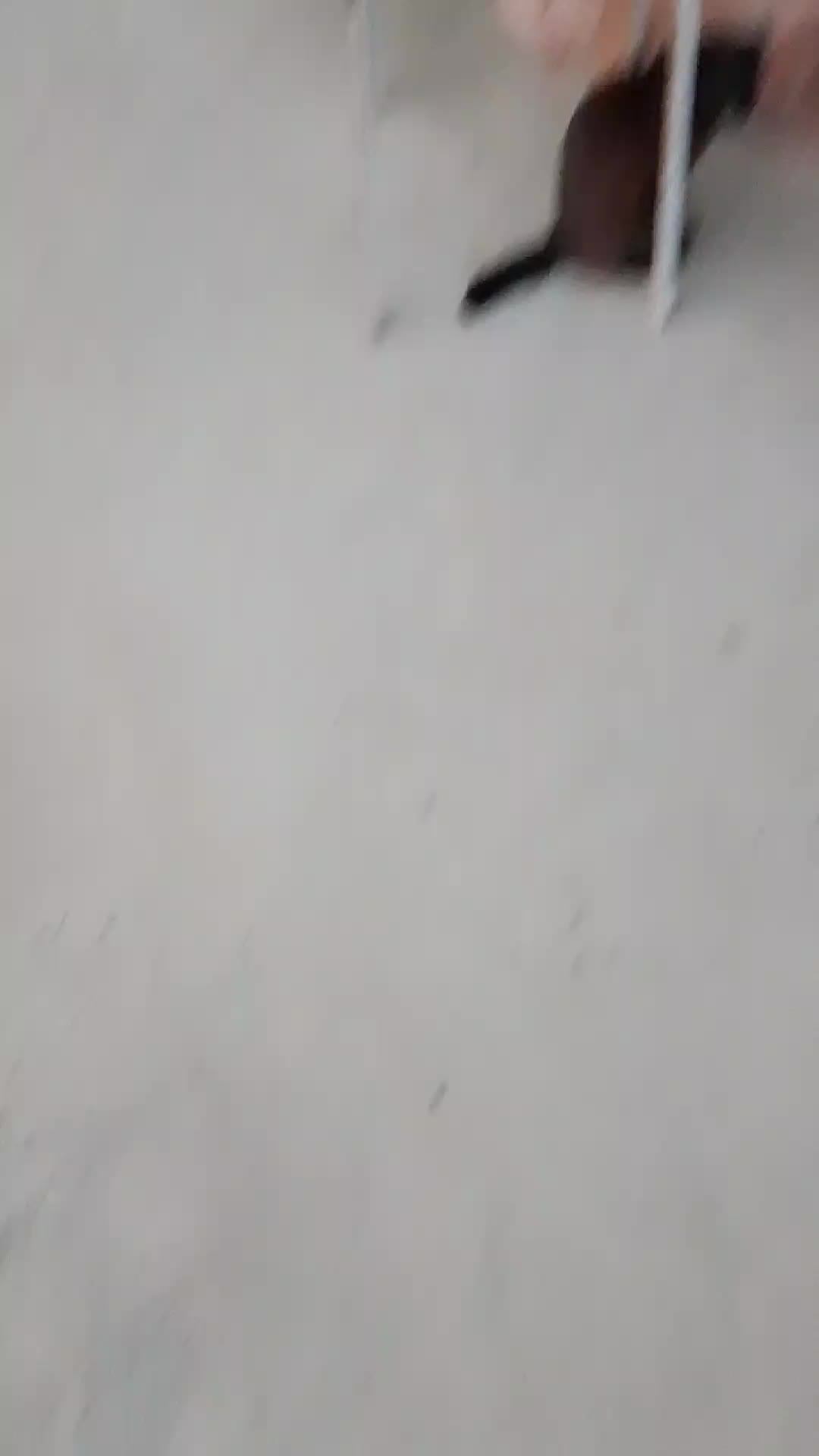 трансляция о милом
