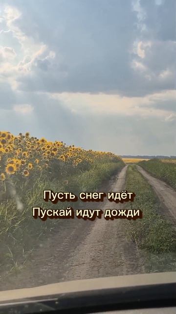 Поле подсолнухов и душевная лирика 🌻🚘
Слушайте трек на всех площадках и снимайте свои видео