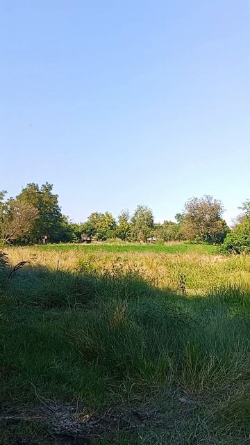 Хорошего настроения 🤗☀️🌳👀