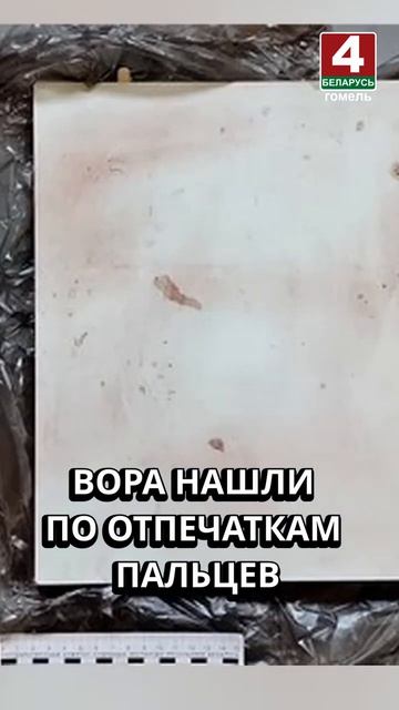 ВОРА НАШЛИ ПО ОТПЕЧАТКАМ ПАЛЬЦЕВ #гомель #новости #беларусь