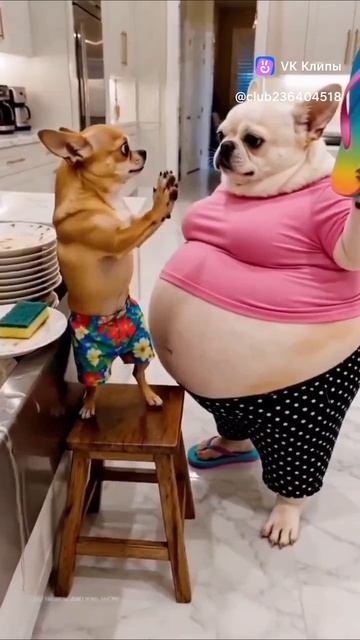 БУМ🤣5412.mp4