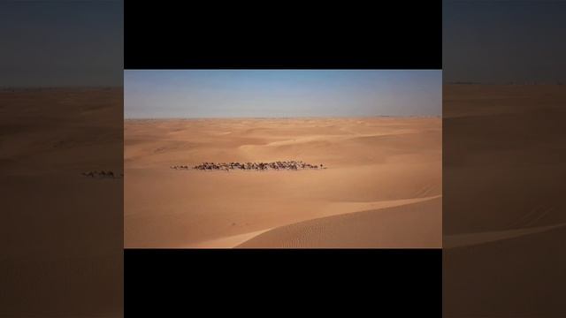 Two oceans (Sahara).mp4