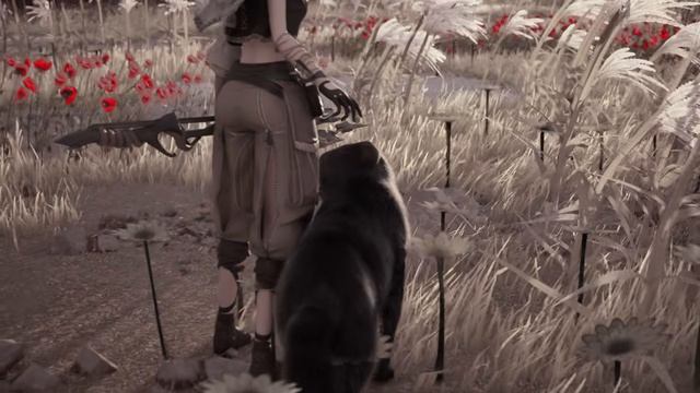 Ylem's Cat - Official Announcement Trailer