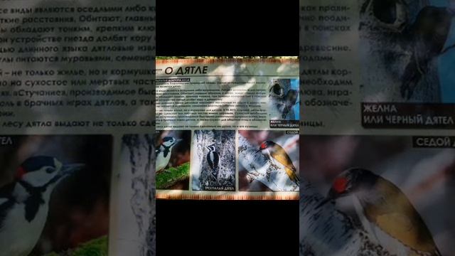 Заповедник  