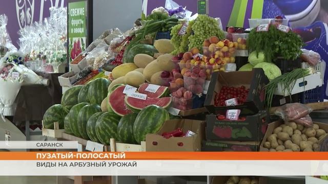 Виды на арбузный урожай