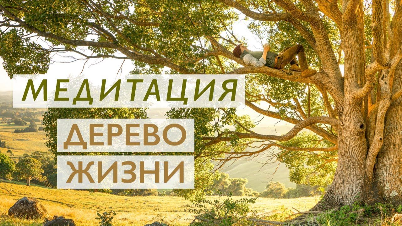 Медитация утренняя для улучшения самочувствия  # Дерево Жизни # Укрепление иммунитета и здоровь