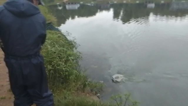 1000163769.mp4