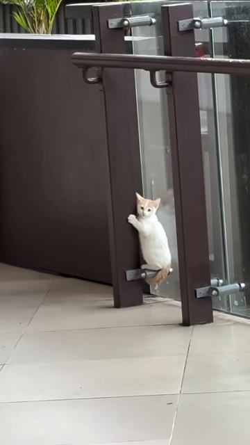 А кто же это сделал?