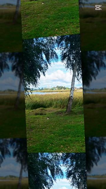 Copy_0959B028-F24F-4F72-B701-A0A0214FB92C