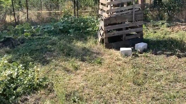Что я купил?