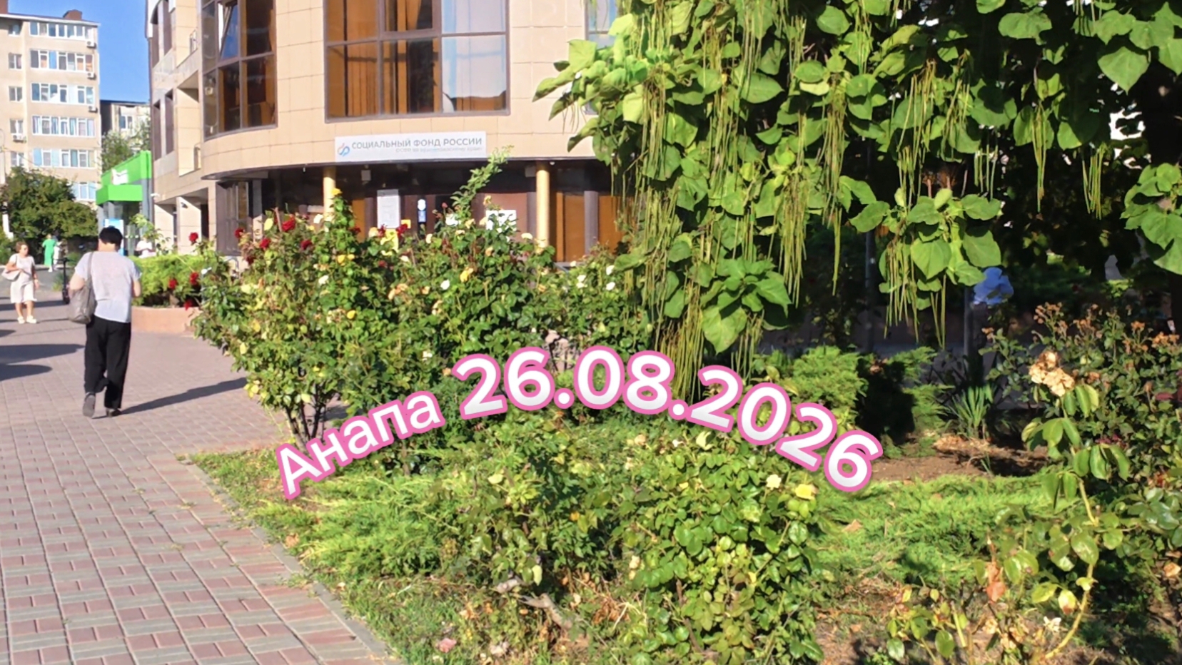 Анапа 26.08.2026