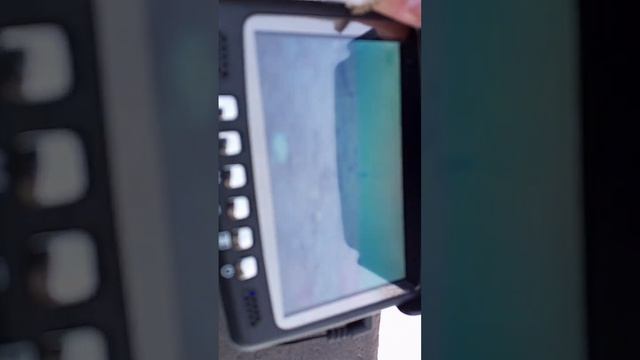Рыбка попадается только на камеру
