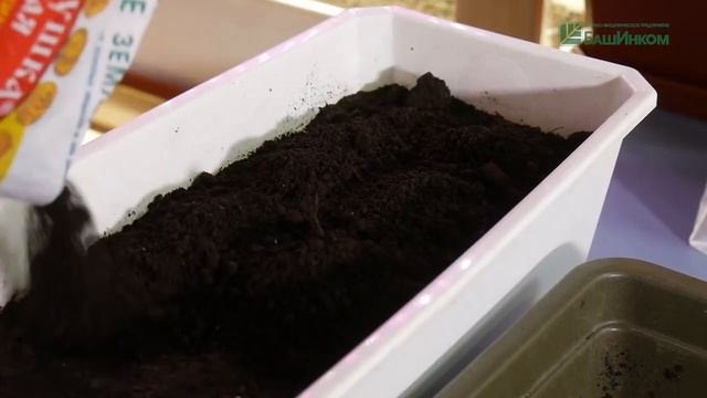 _Земля-Матушка_ Универсальная и Дренаж керамзитовый.