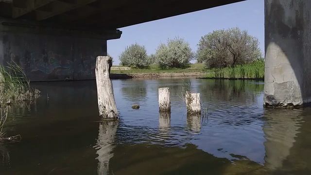 Весна природа 20260519