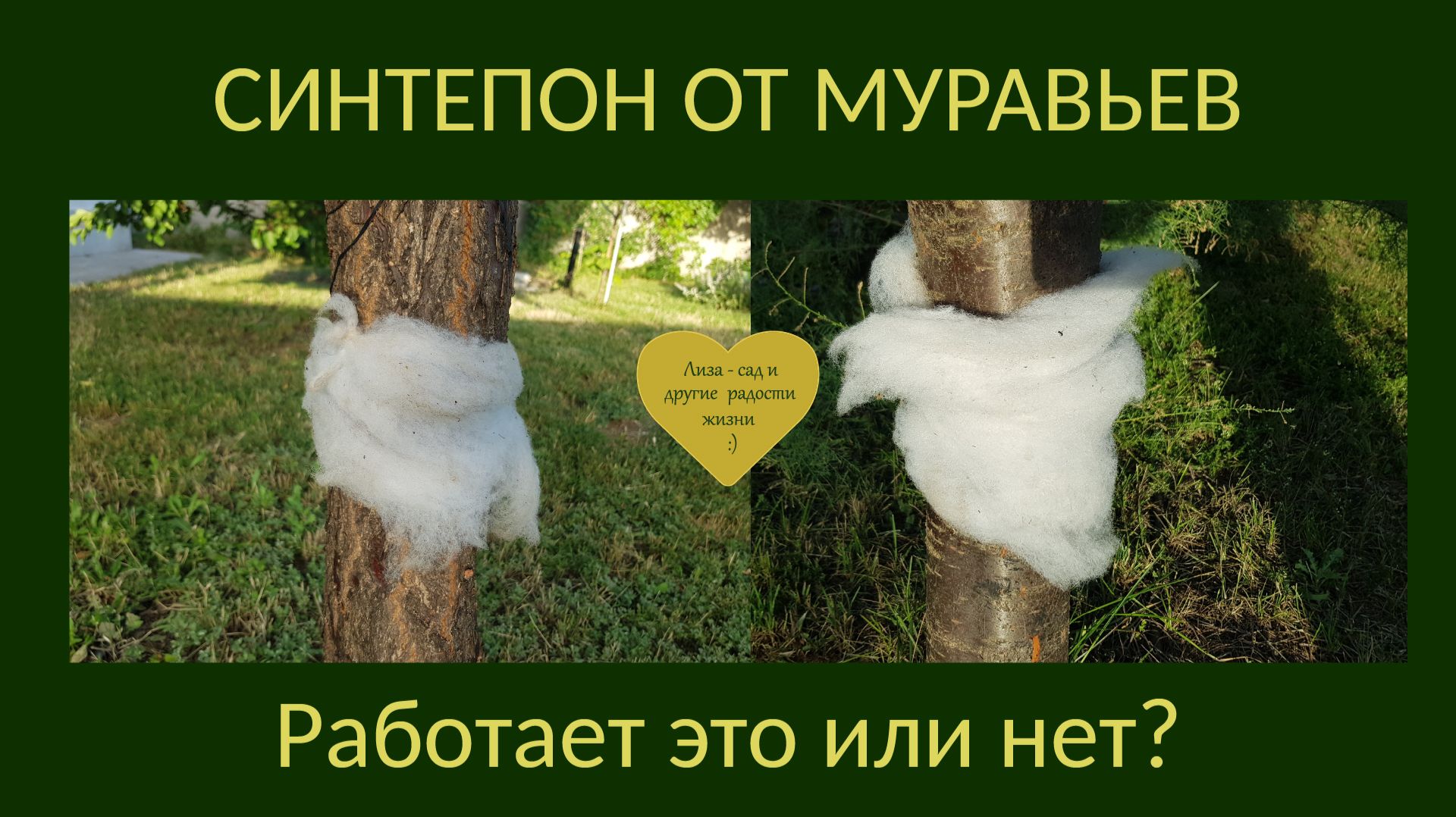 Синтепон от муравьев - мой эксперимент и выводы