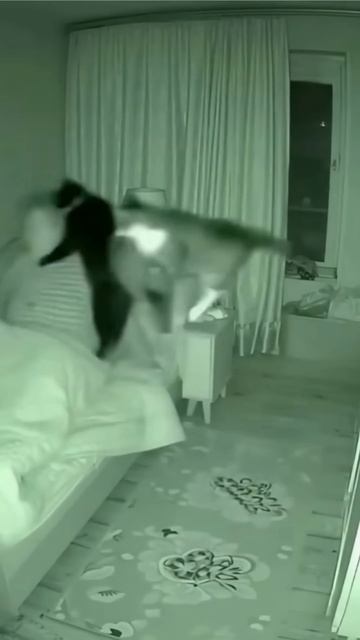 Удивительные животные !!!