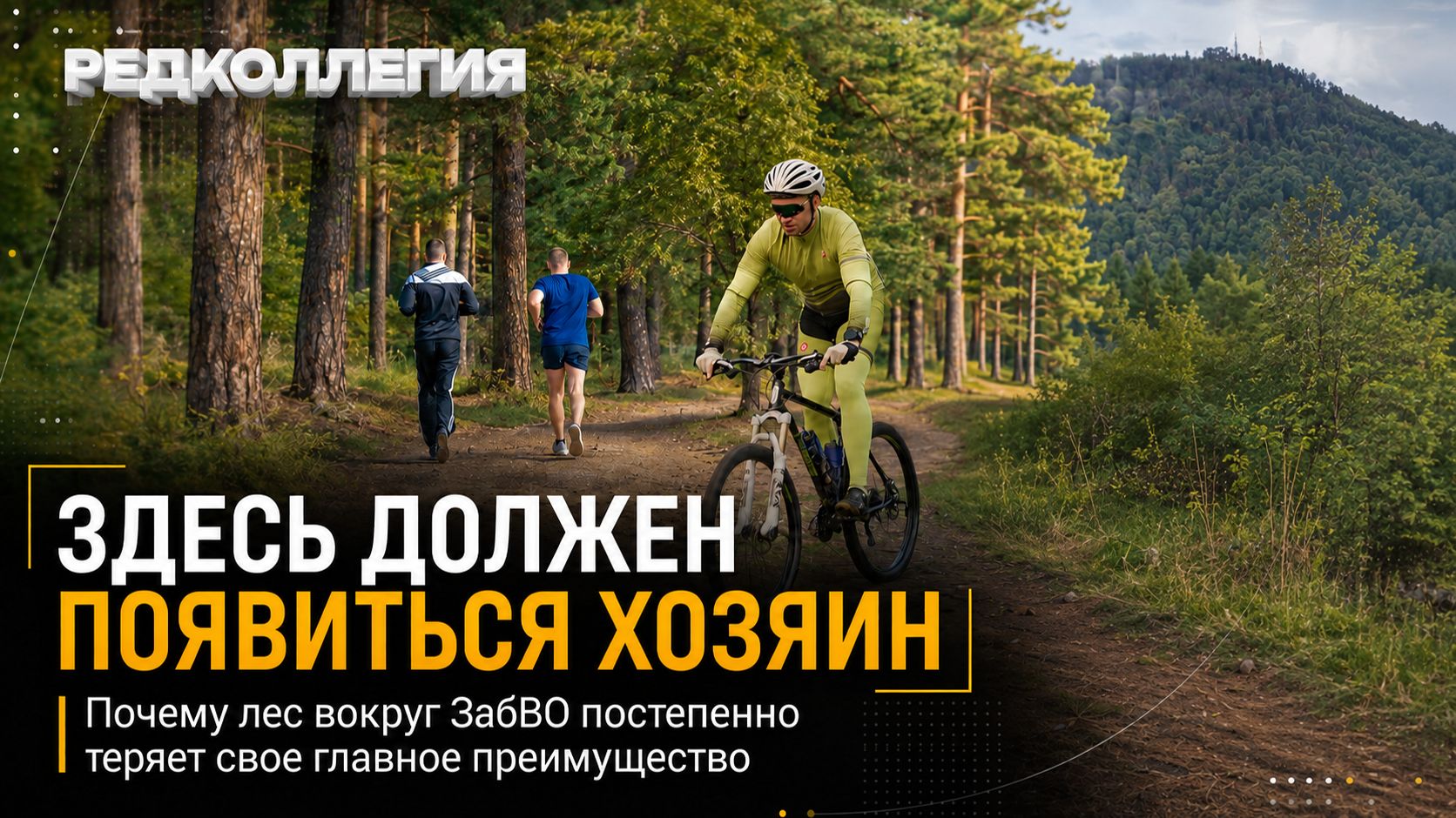 Здесь должен появиться хозяин. Почему лес вокруг ЗабВО постепенно теряет свое главное преимущество