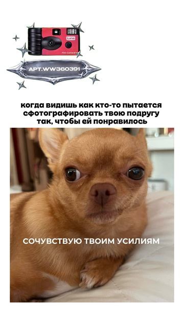 Плёночный фотоаппарат на 36 кадров (Артикул WB: #WW360391)💕