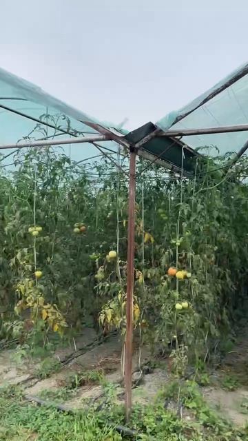 VID_20260826_170757_458.mp4.mov