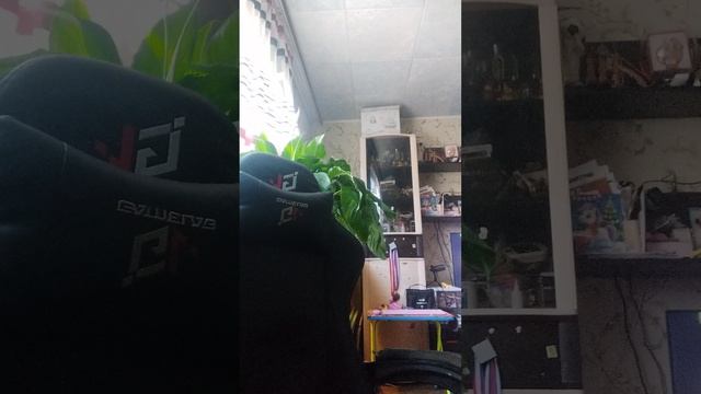 просто видео