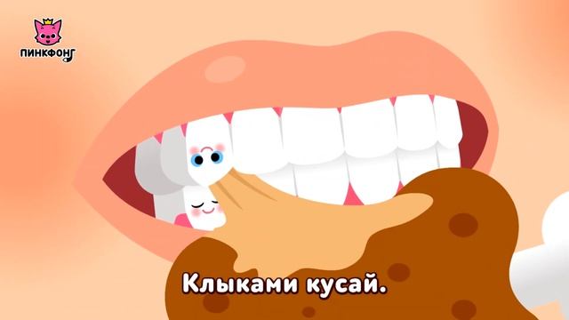 Зубы | Песни про Части Тела | Наука для Детей | Пинкфонг Песни для Детей