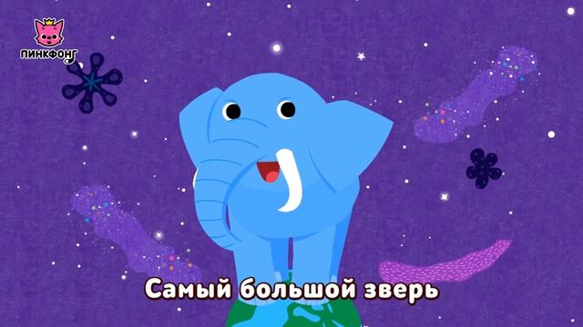 Слон — Настоящий Слон | Песни про Животных | Пинкфонг Песни для Детей