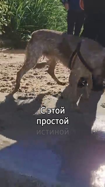 Стоп. Прочитай ещё раз.
