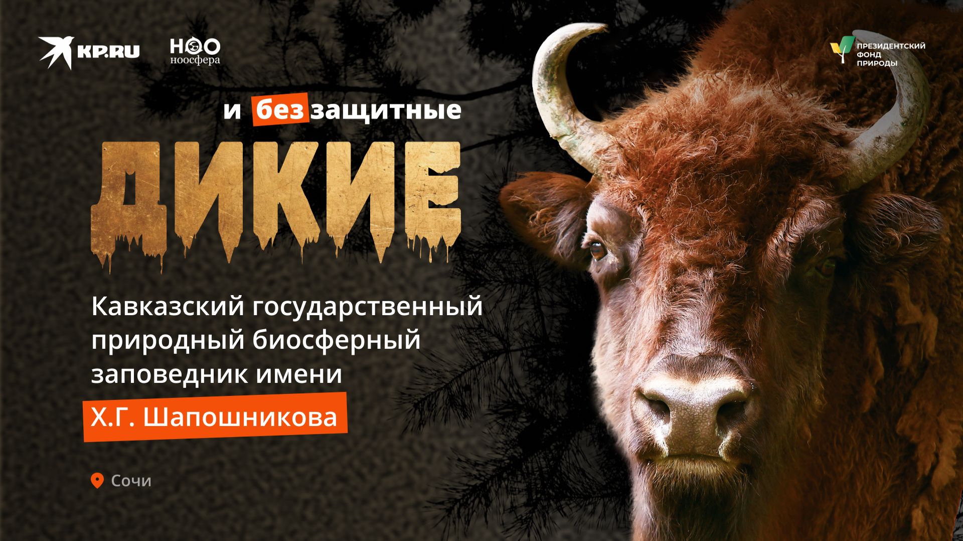 Возвращают с того света в природу