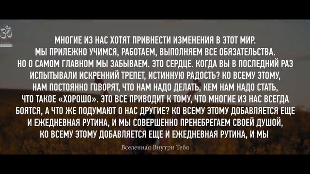 Пробуждение Джима Керри и его цитаты   У меня не жизнь, а сон сумасшедшего