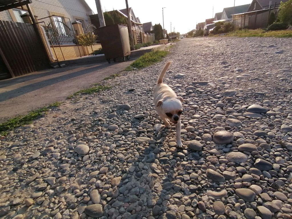 играем на пка