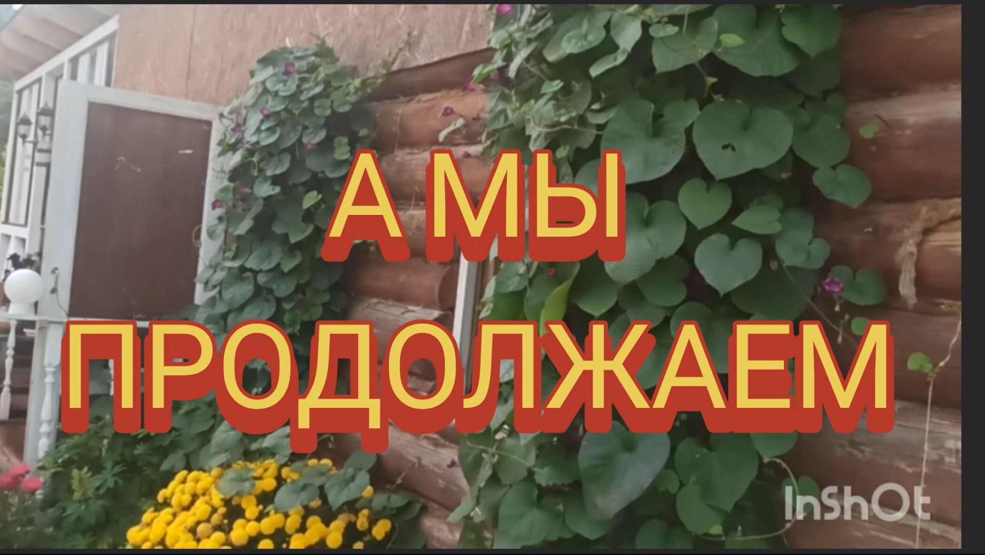 Продолжаем воплощать мечту в жизнь.