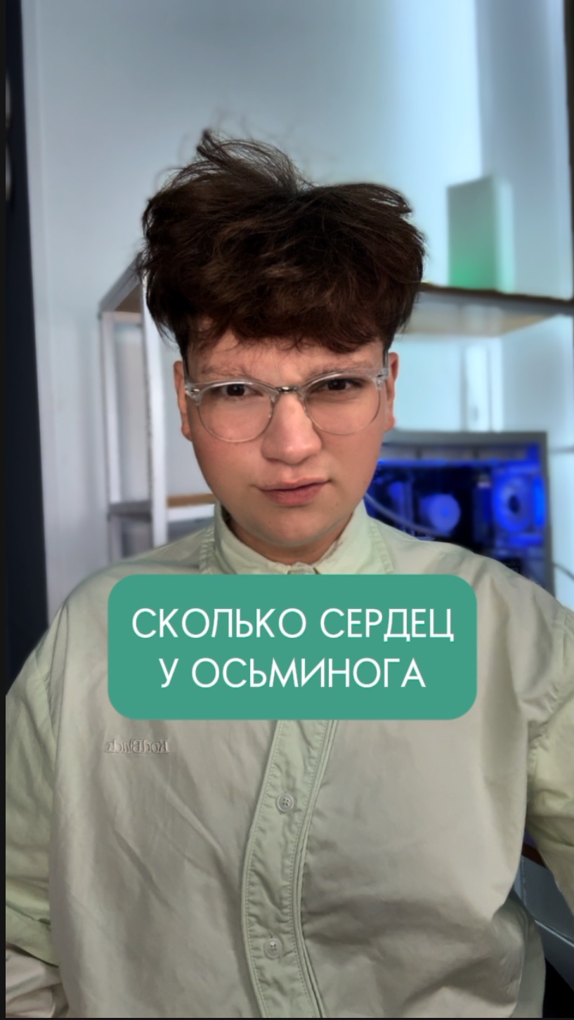СКОЛЬКО СЕРДЕЦ У ОСЬМИНОГА