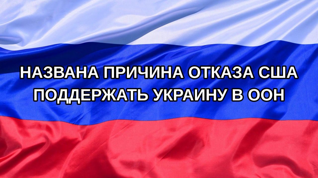 |Н. РФ| Названа причина отказа США поддержать Украину в ООН