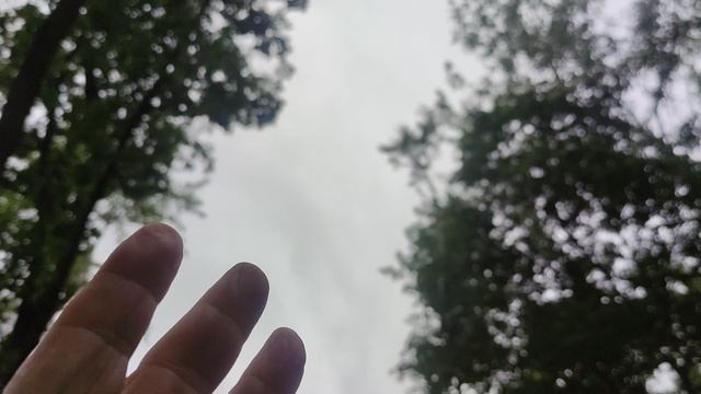 26 августа магический пасмурный дождливый прогноз погоды от волшебника