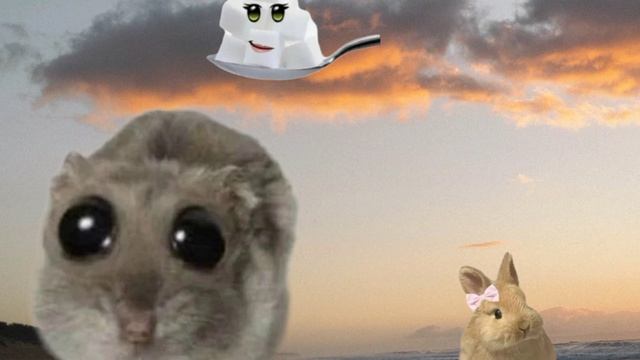 Спокойной ночи мои сладкие котята