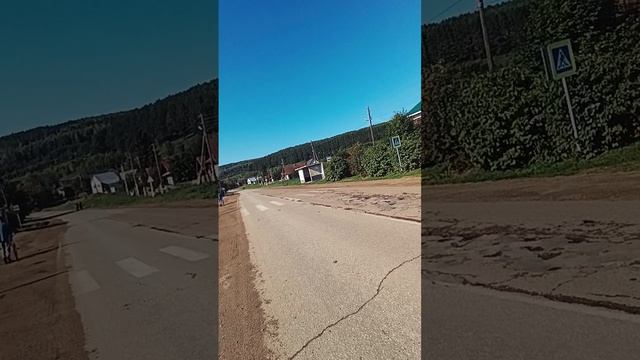 Ключи Суксунский район 26 августа 2026 года. Эпидемия бешенства. Я остаюсь. А вы?
