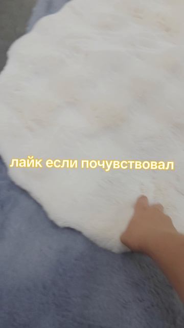 VID_20260819_155507