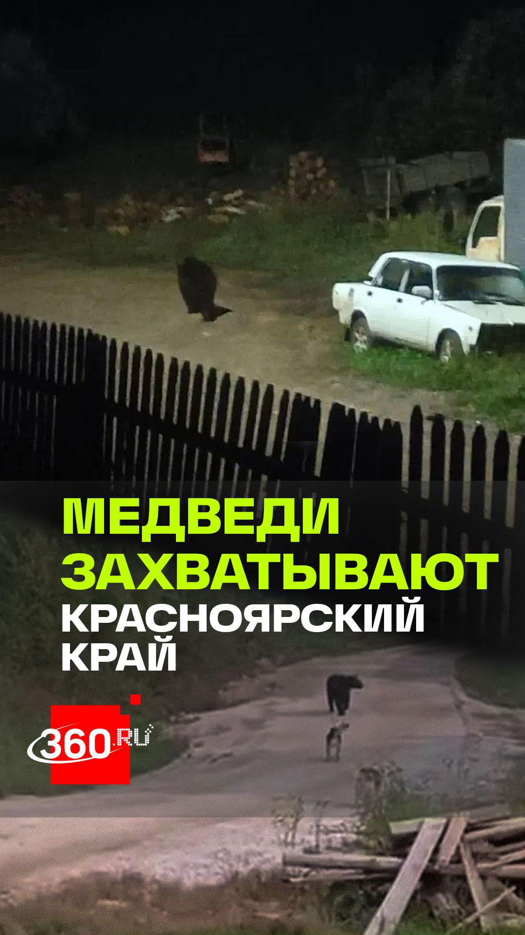 Медведи пугают жителей Красноярского края