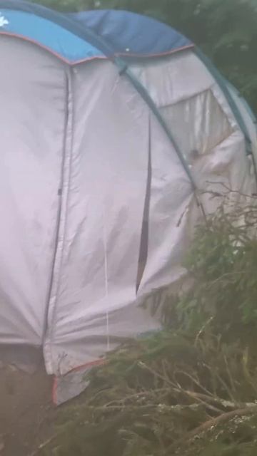 упало дерево на палатку. 8 день озеро