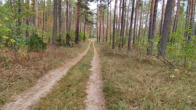прогулка