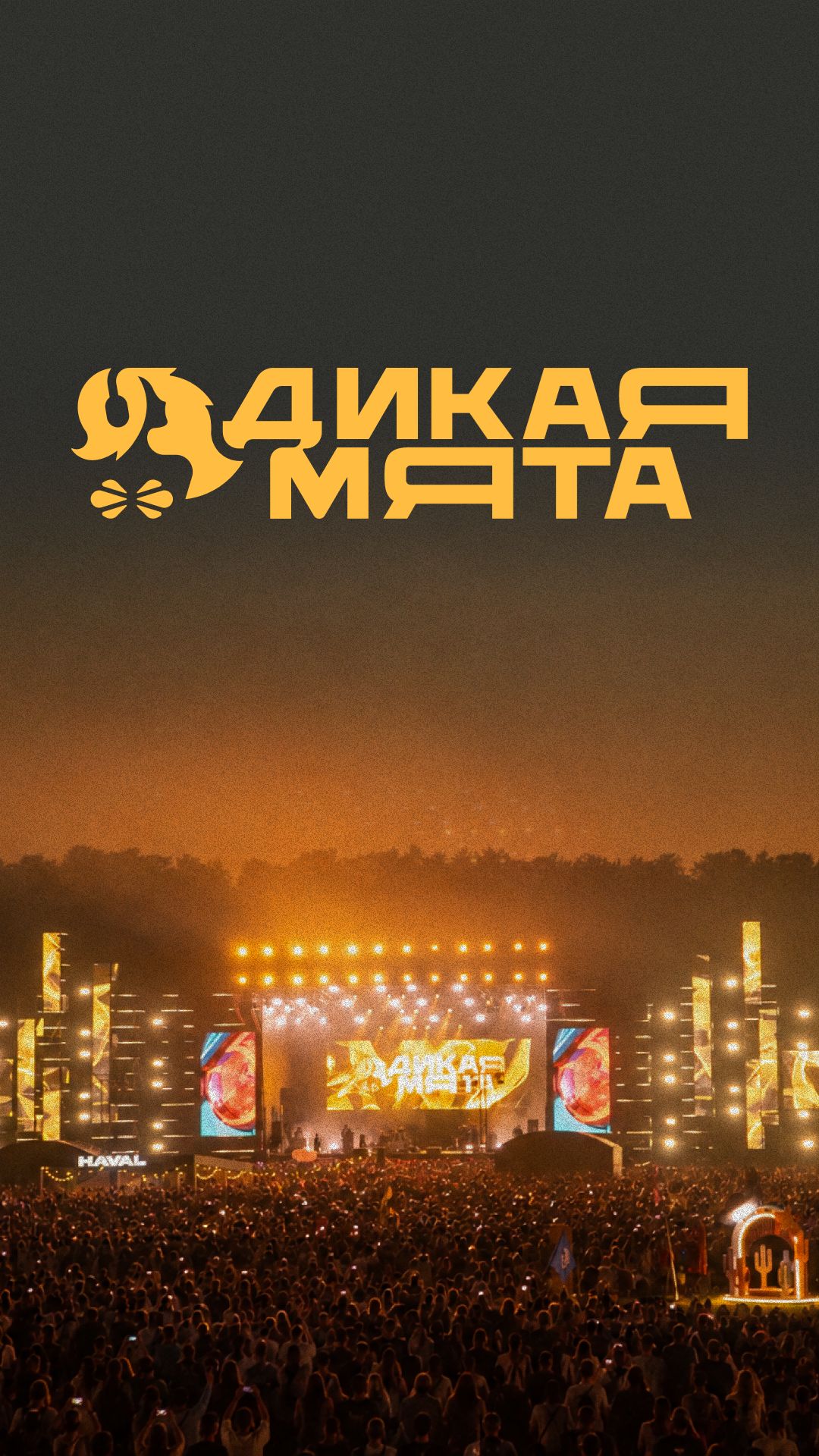 Дикая Мята: 3 дня музыки, которые хочется прожить ещё раз.