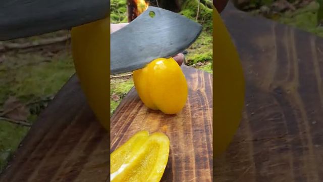Куриные кесадильи с домашней лепёшкой