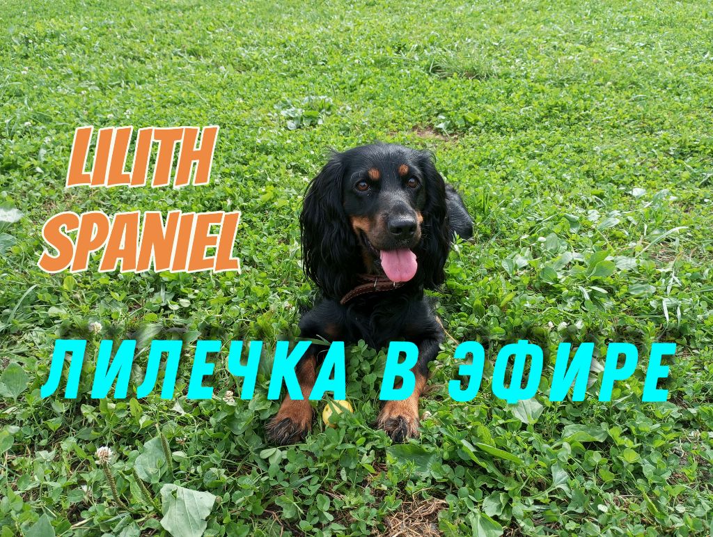 Слабонервным не смотреть 😎👍